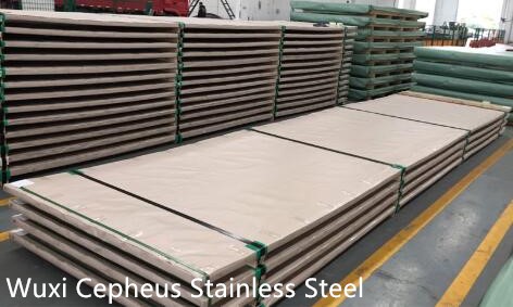 cepheus stainless steel plate 1_副本